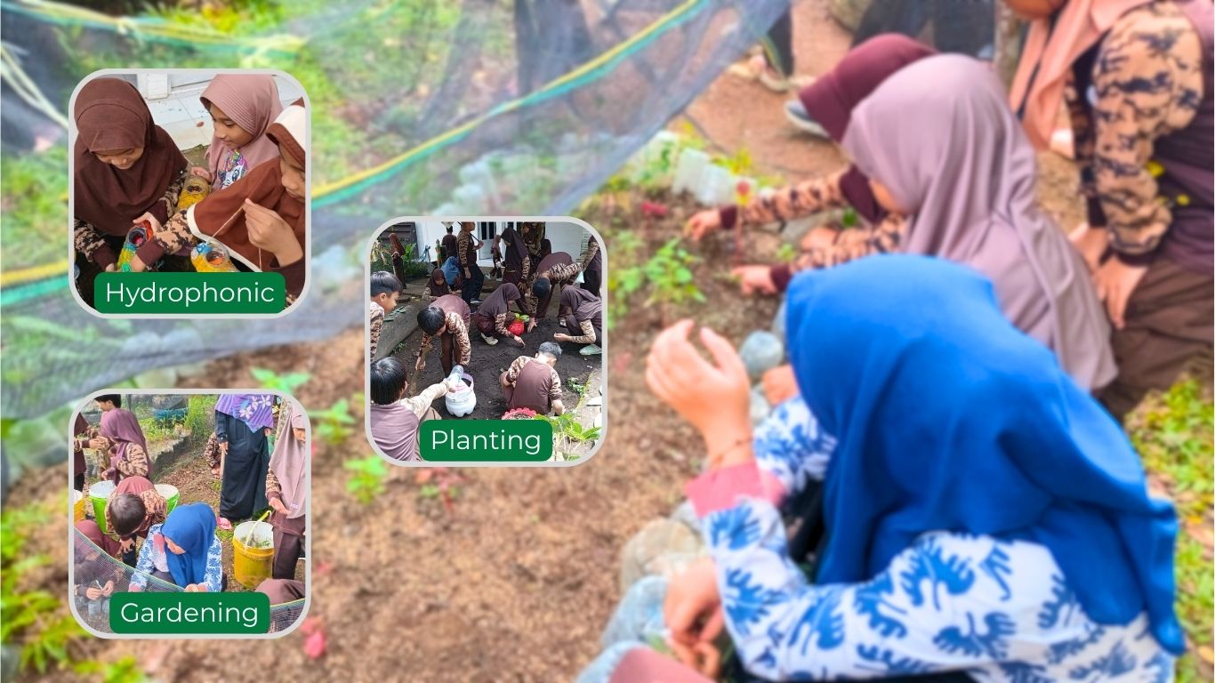 Menjaga alam sejak dini : Implementasi Pelajaran Konservasi dan Lingkungan di Sekolah Alam Insan Mulia Lubuklinggau